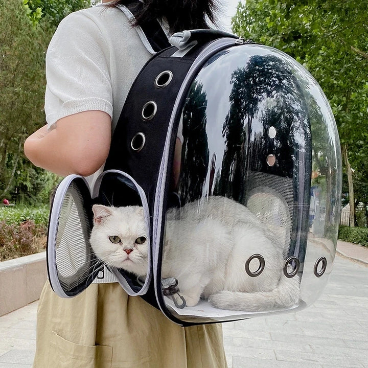 Adventure Capsule for Pets