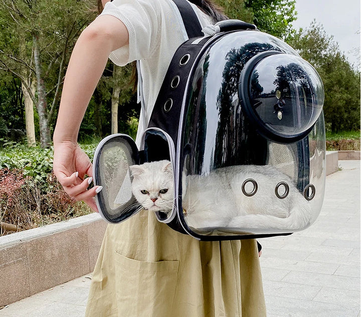 Adventure Capsule for Pets