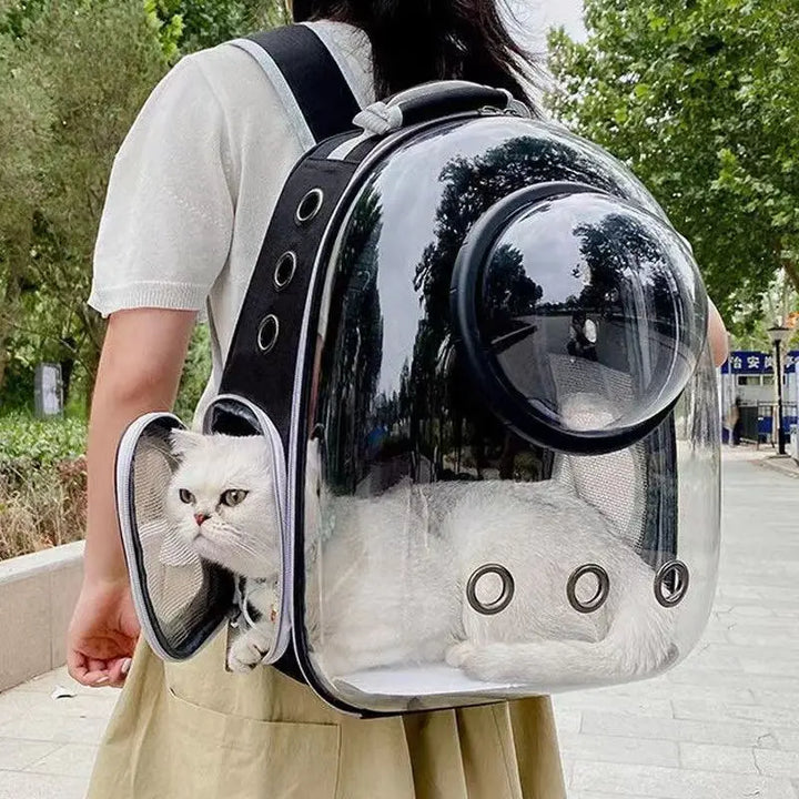 Adventure Capsule for Pets