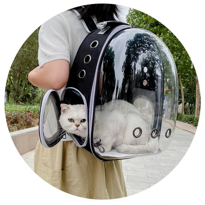 Adventure Capsule for Pets