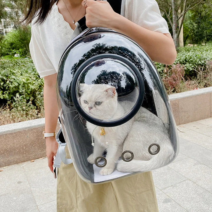 Adventure Capsule for Pets