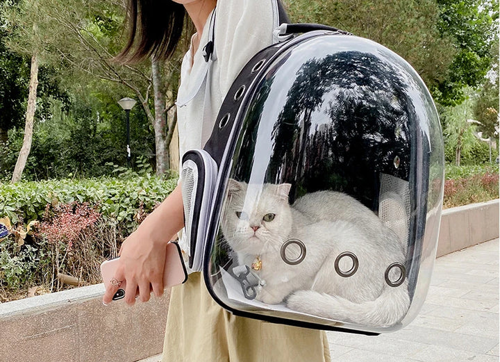 Adventure Capsule for Pets